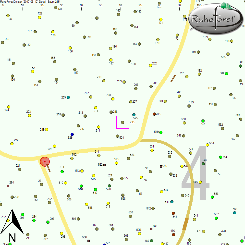 Detailkarte zu Baum 215