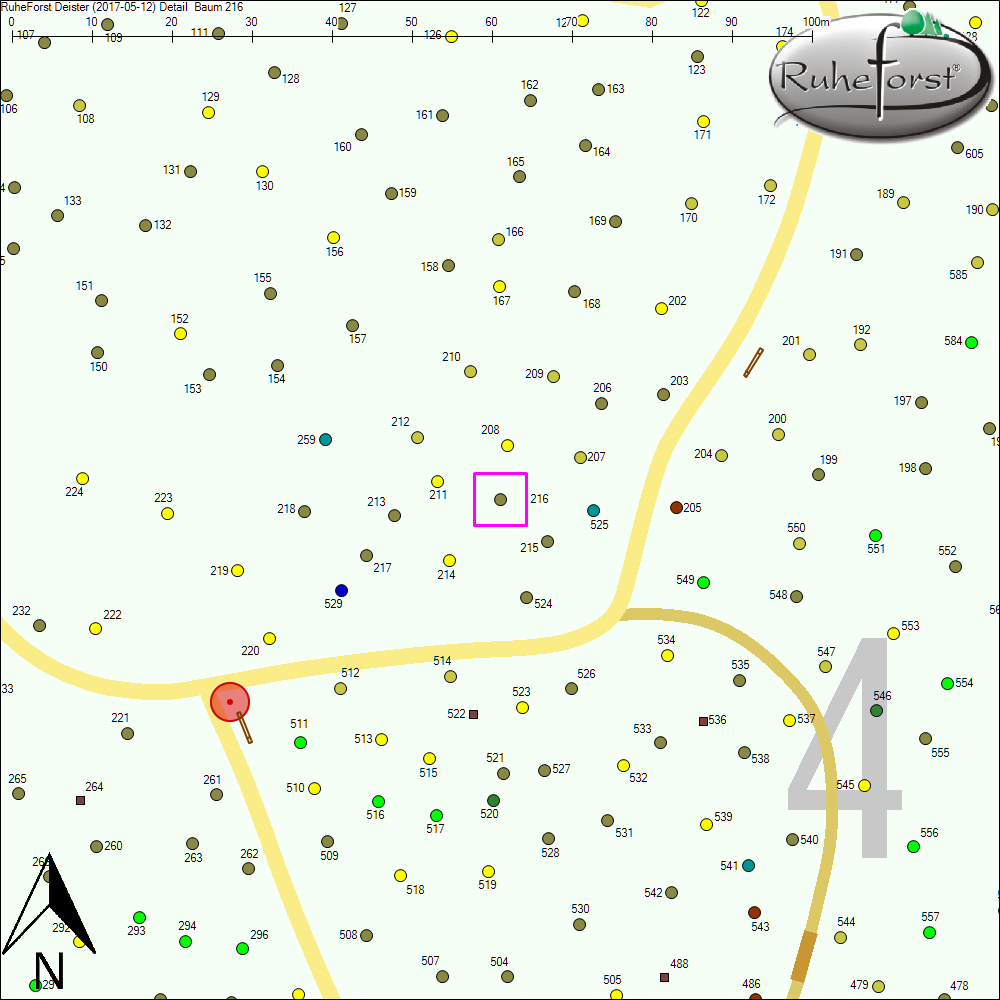 Detailkarte zu Baum 216