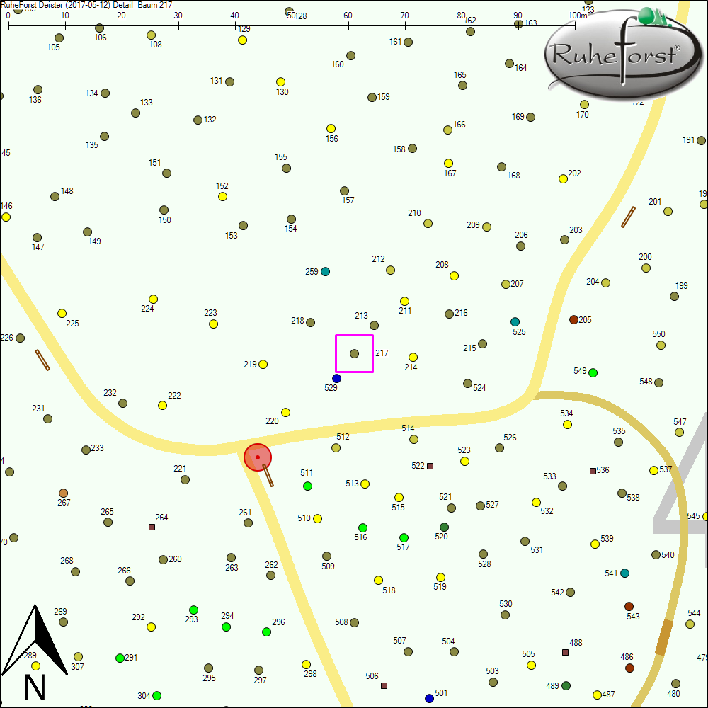 Detailkarte zu Baum 217
