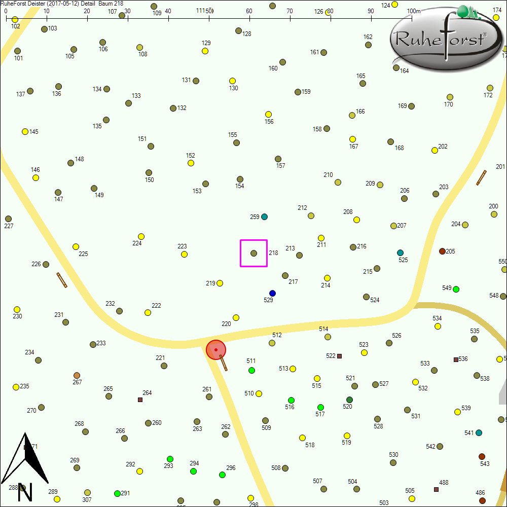 Detailkarte zu Baum 218