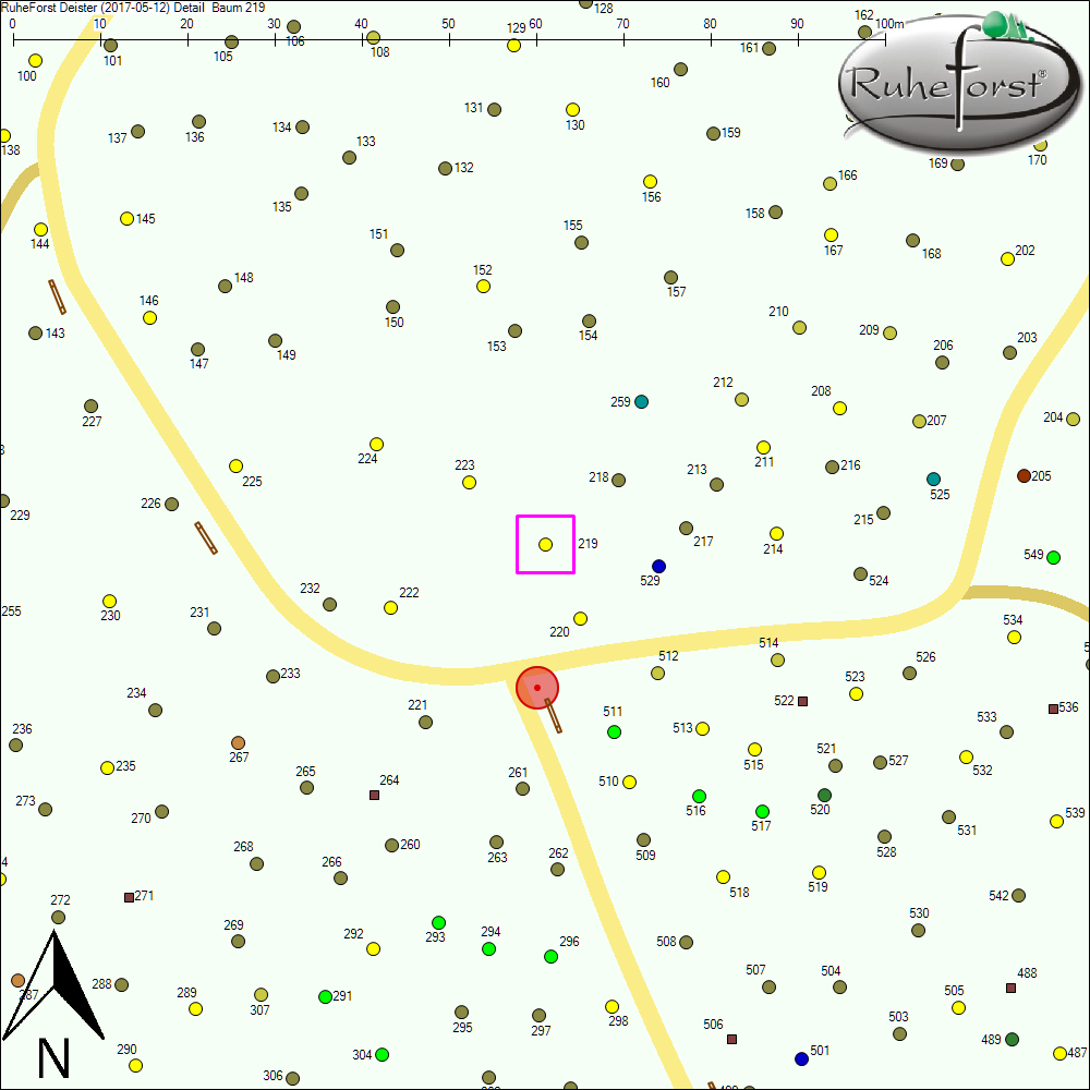 Detailkarte zu Baum 219