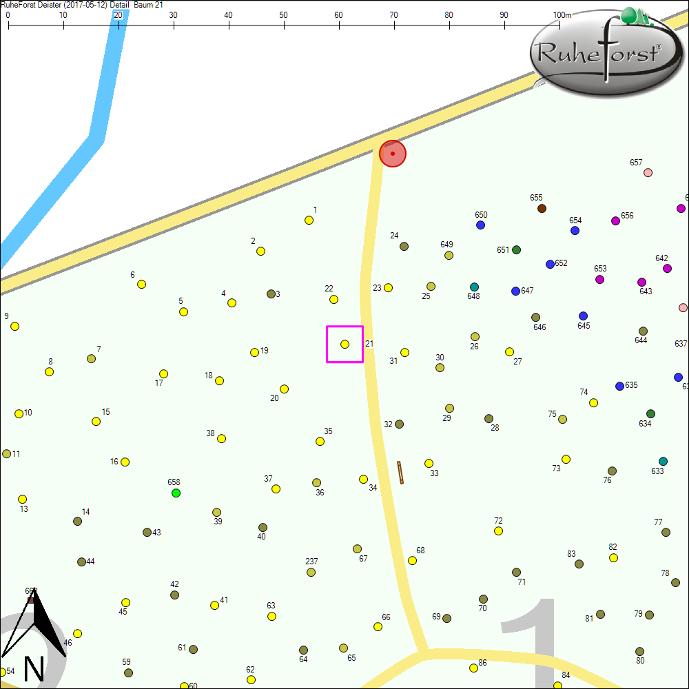 Detailkarte zu Baum 21