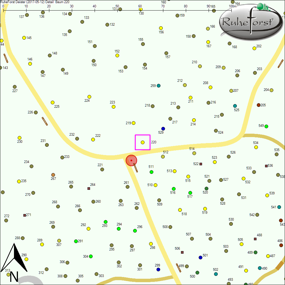 Detailkarte zu Baum 220