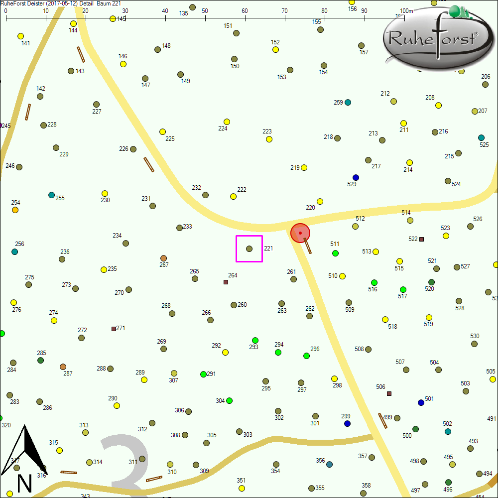 Detailkarte zu Baum 221
