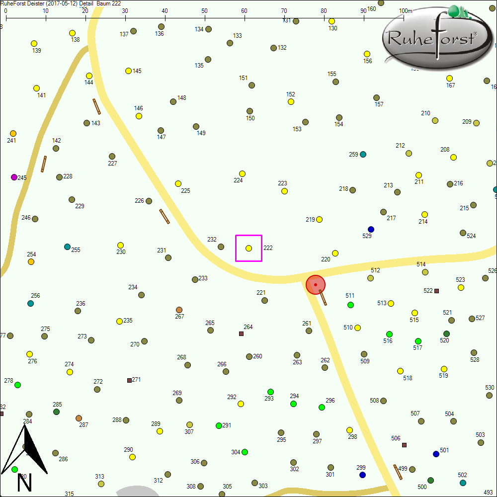 Detailkarte zu Baum 222
