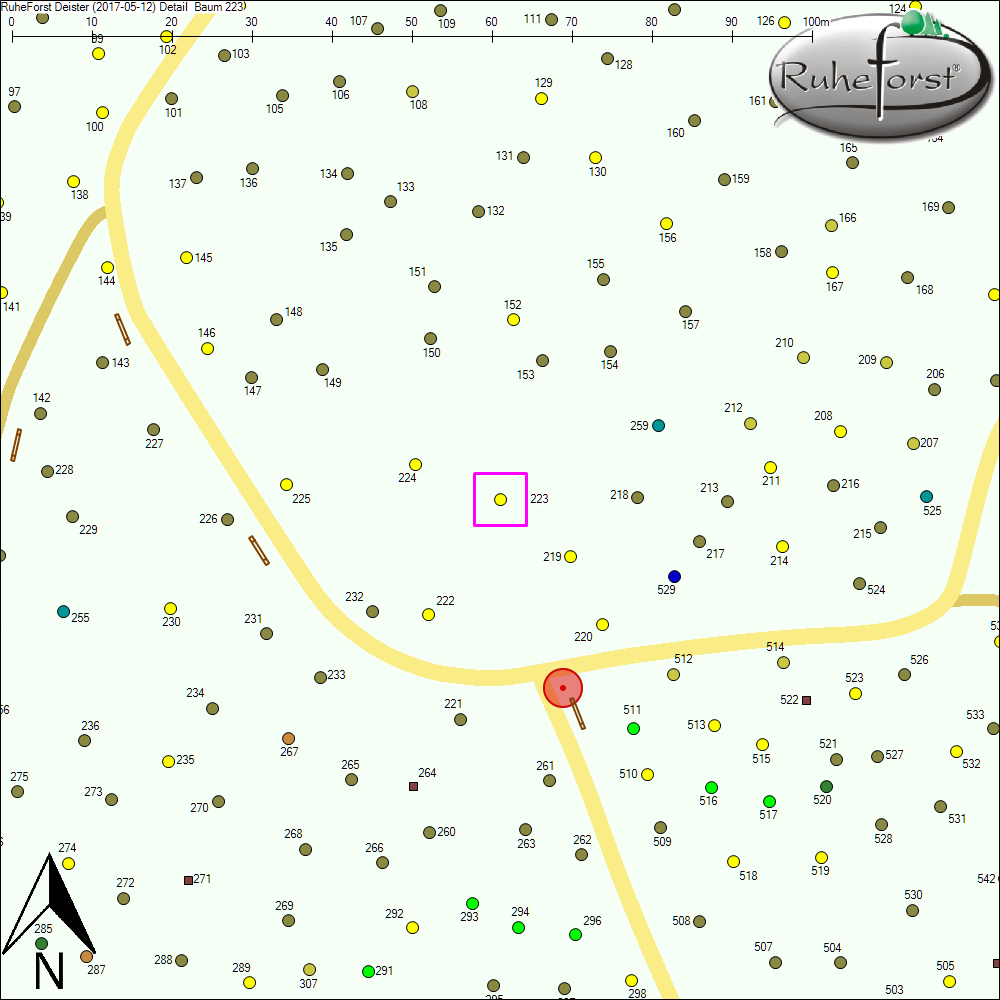 Detailkarte zu Baum 223