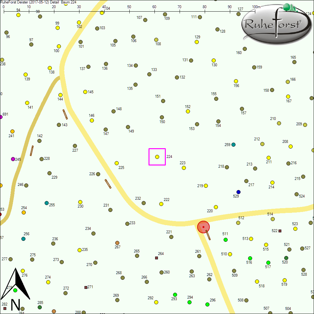Detailkarte zu Baum 224
