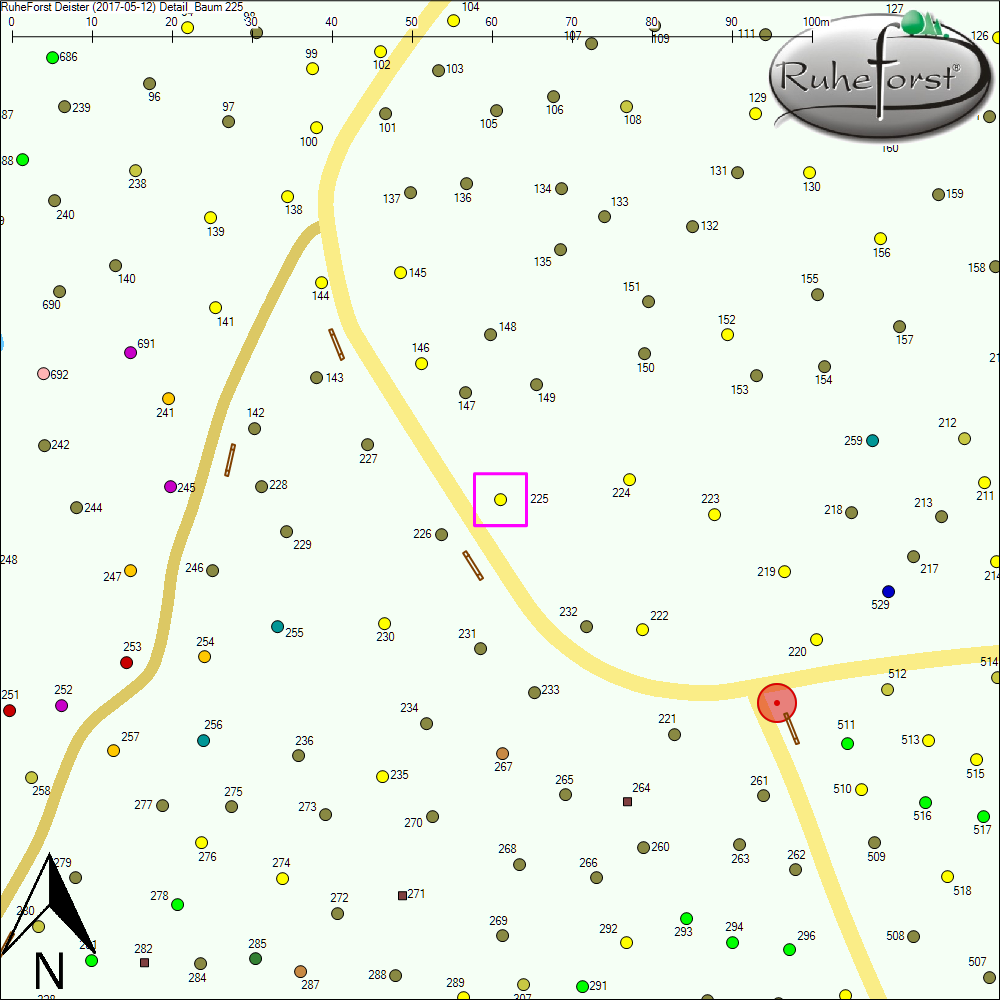 Detailkarte zu Baum 225