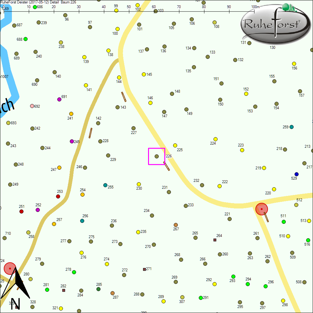 Detailkarte zu Baum 226