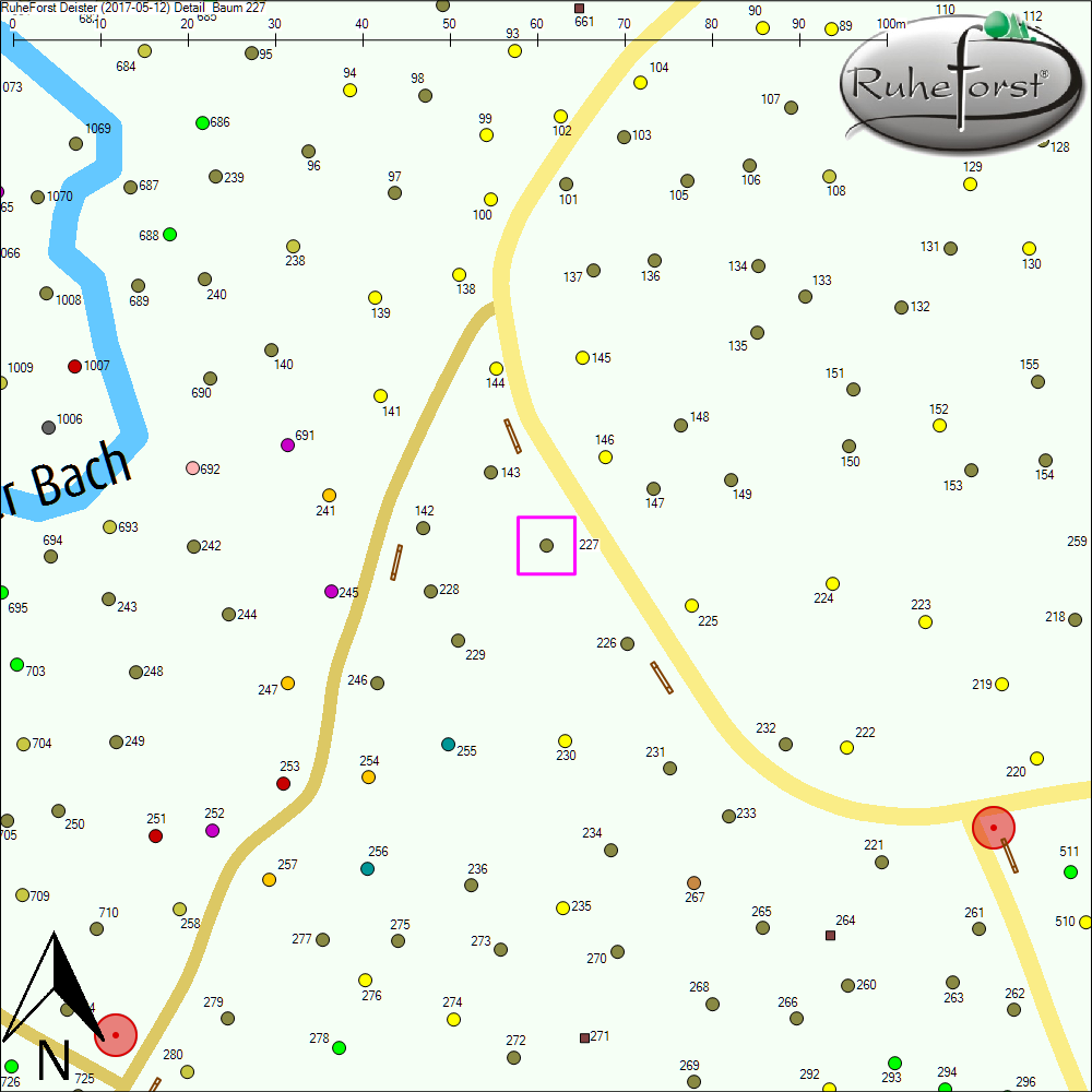 Detailkarte zu Baum 227