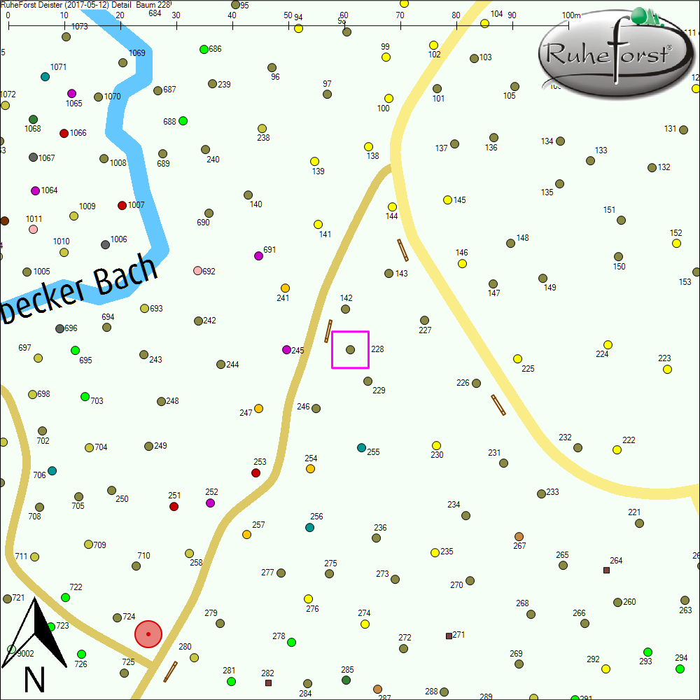 Detailkarte zu Baum 228