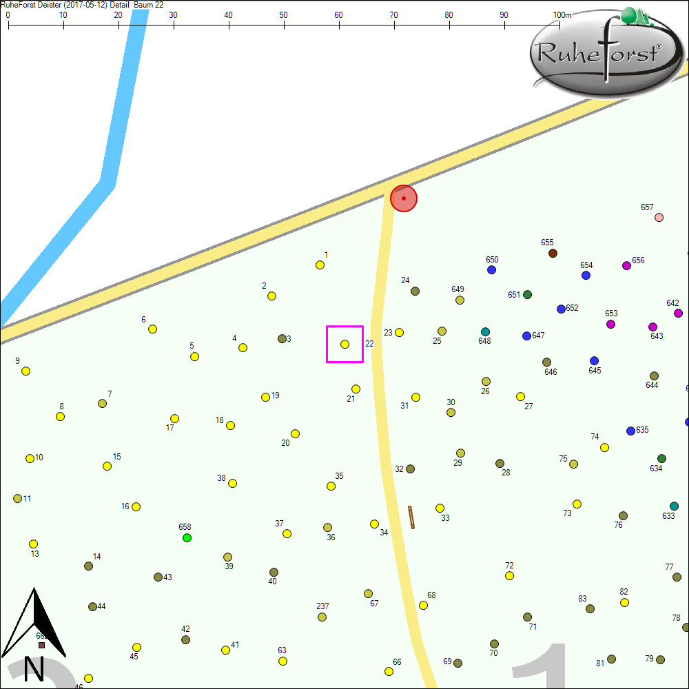 Detailkarte zu Baum 22