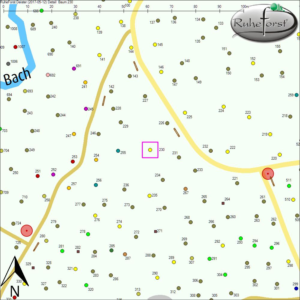 Detailkarte zu Baum 230