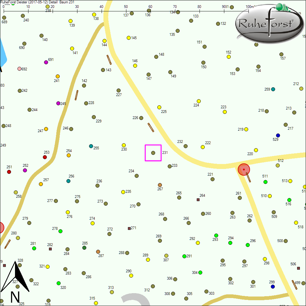 Detailkarte zu Baum 231