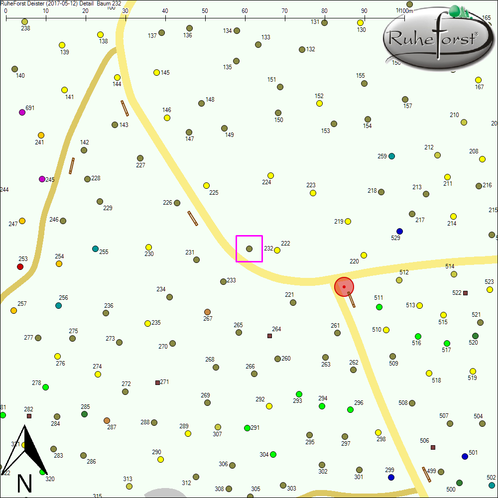 Detailkarte zu Baum 232