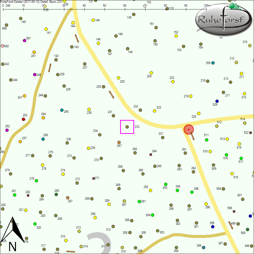 Detailkarte zu Baum 233