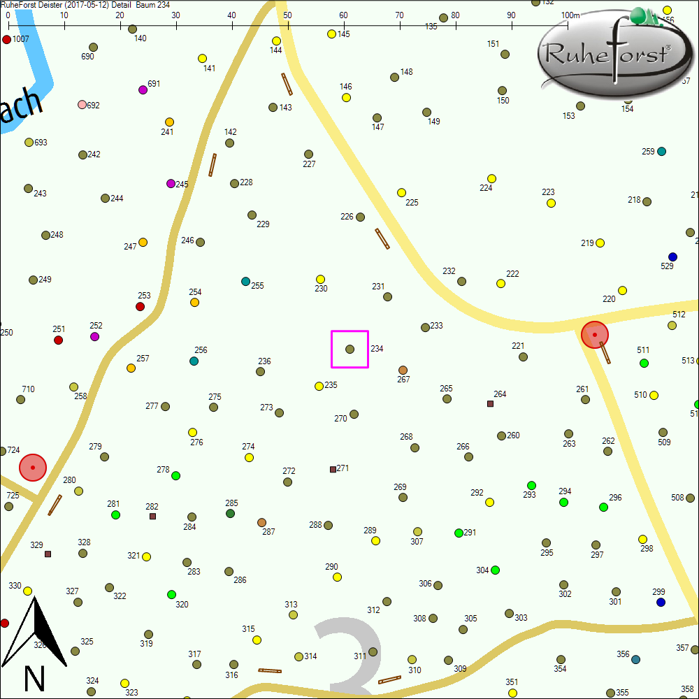 Detailkarte zu Baum 234