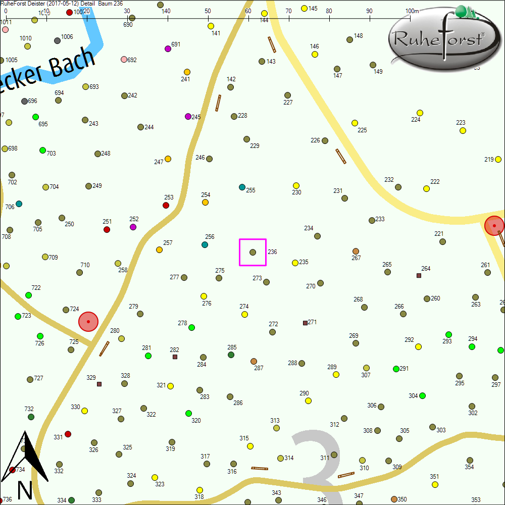 Detailkarte zu Baum 236