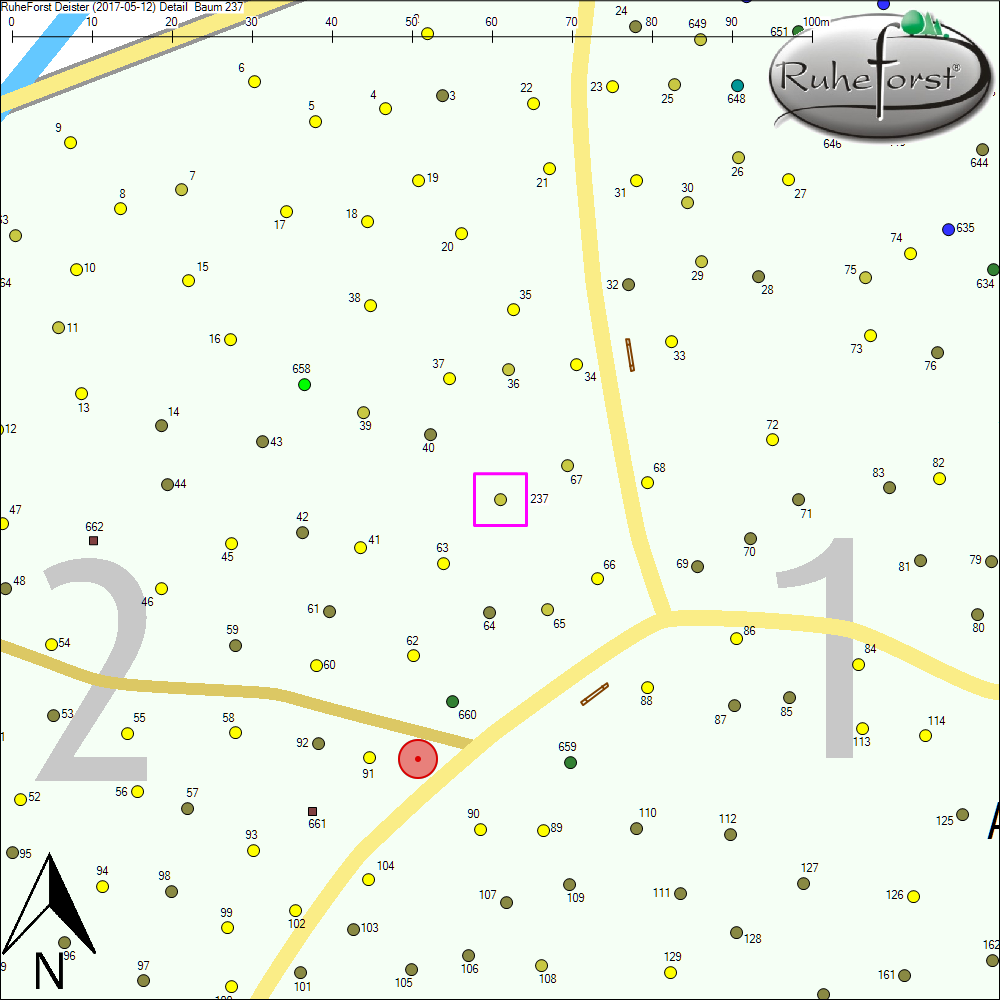 Detailkarte zu Baum 237