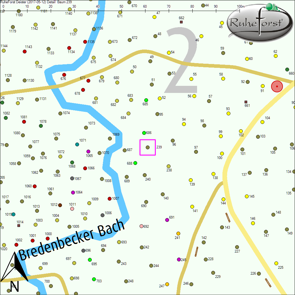 Detailkarte zu Baum 239