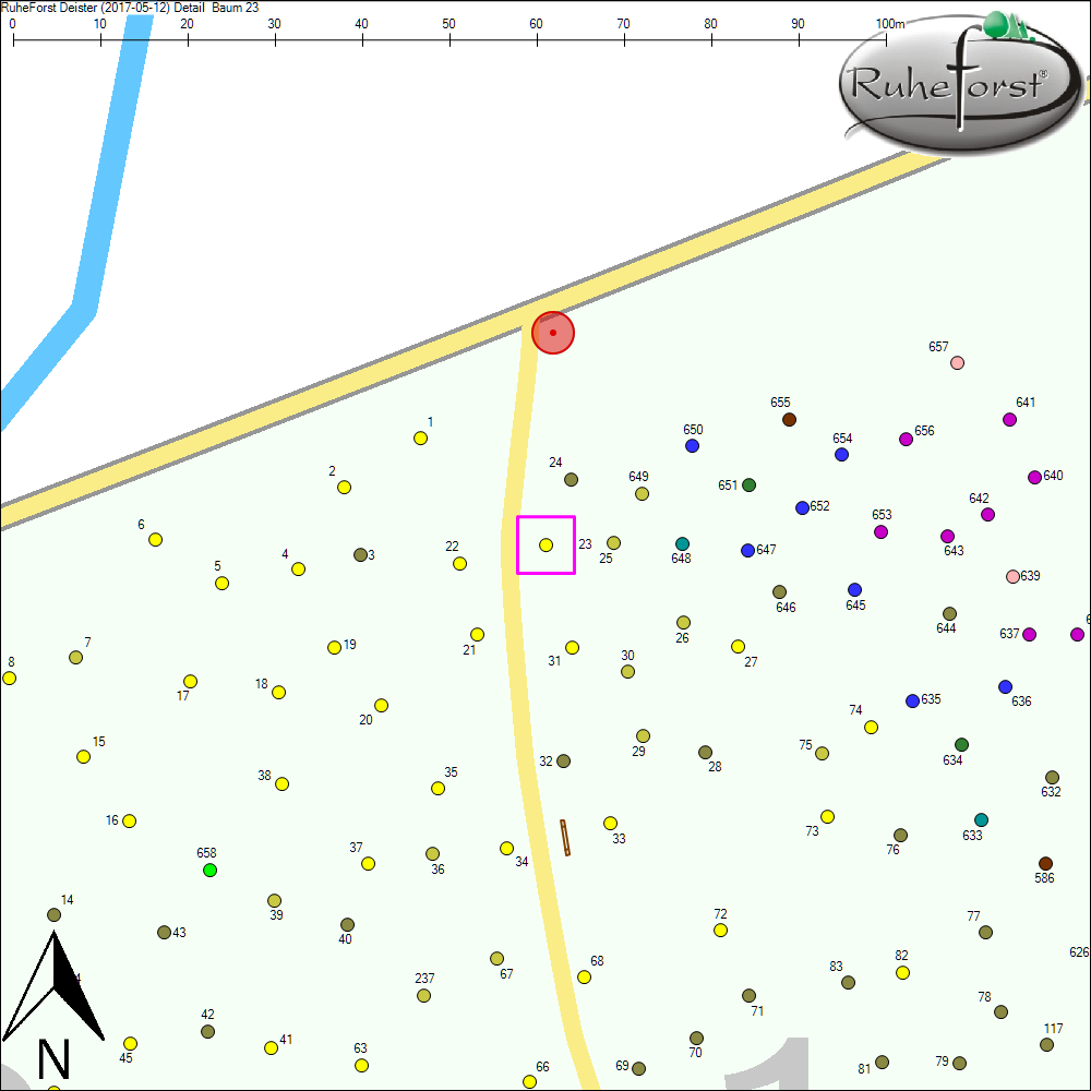 Detailkarte zu Baum 23