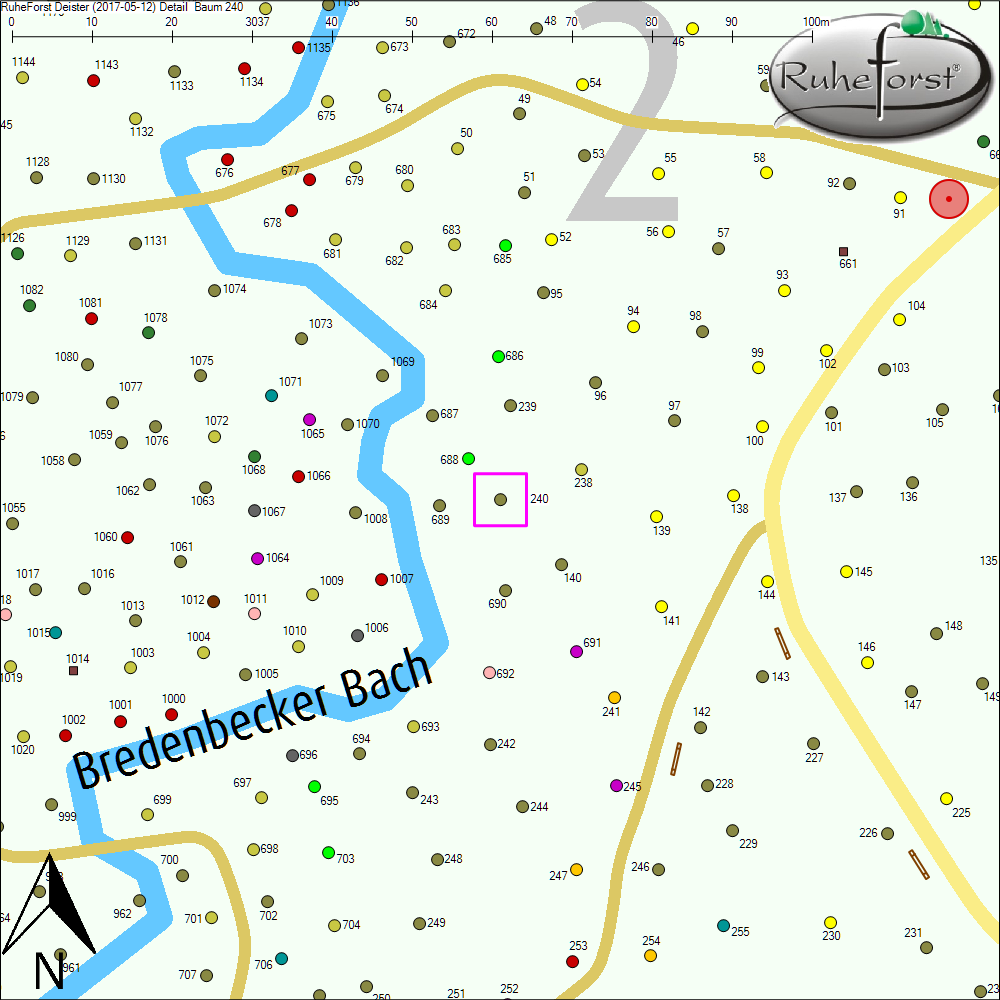 Detailkarte zu Baum 240
