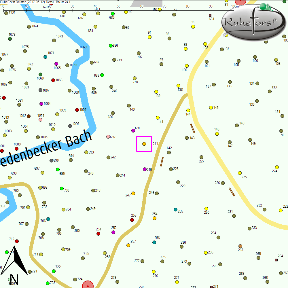 Detailkarte zu Baum 241