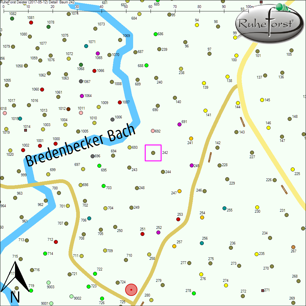 Detailkarte zu Baum 242