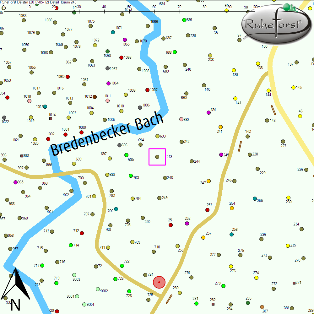 Detailkarte zu Baum 243