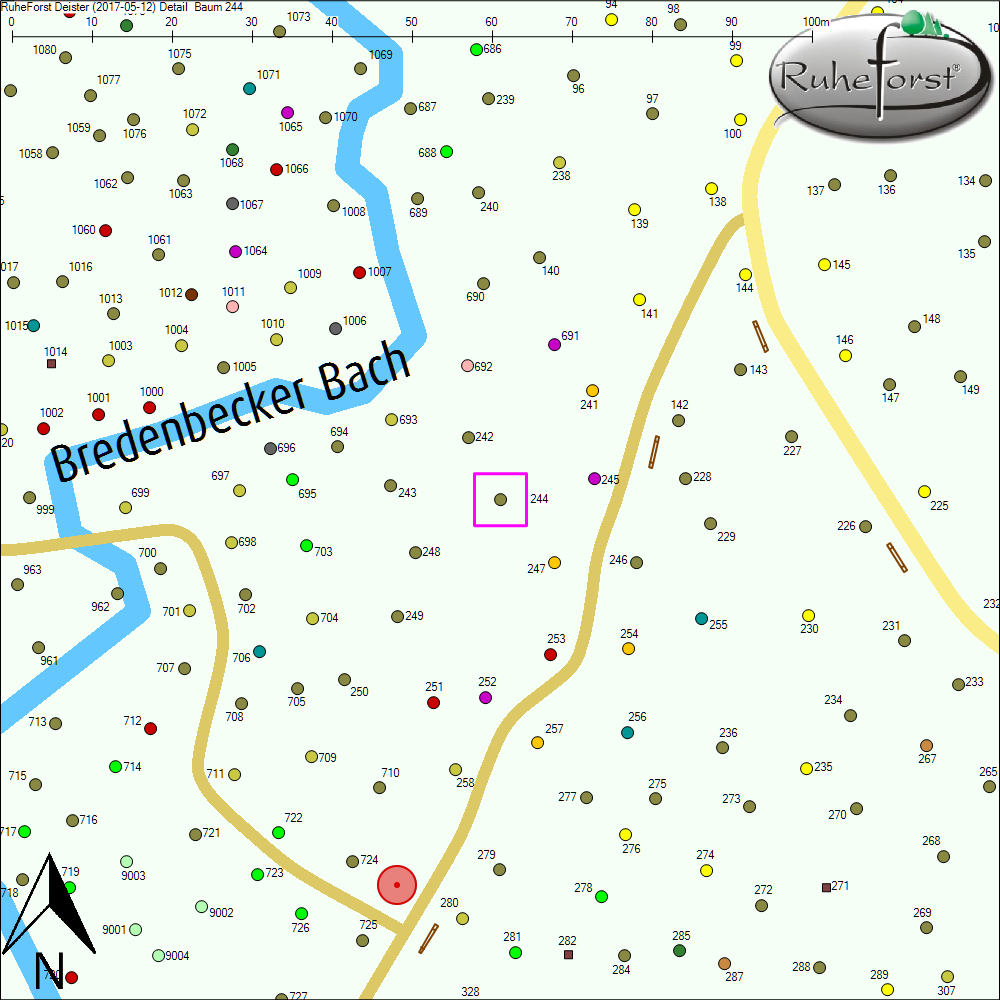Detailkarte zu Baum 244