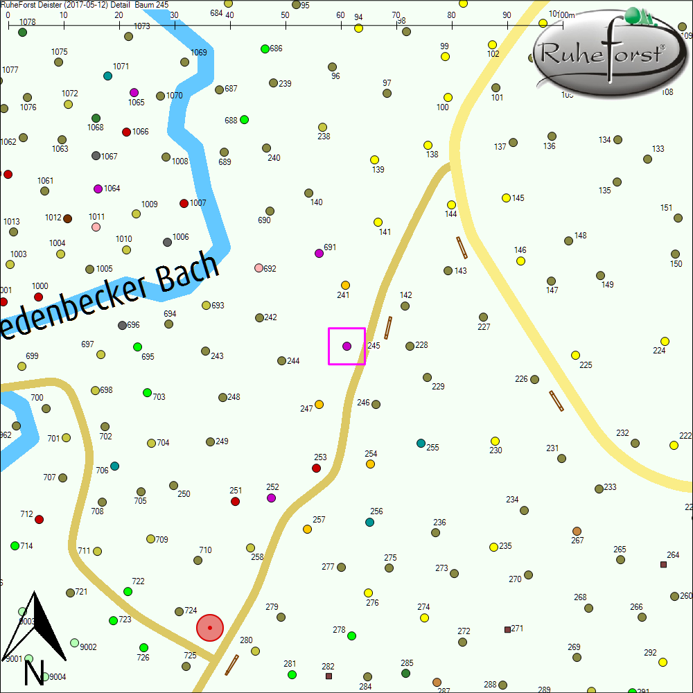 Detailkarte zu Baum 245