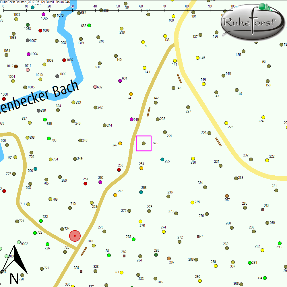 Detailkarte zu Baum 246