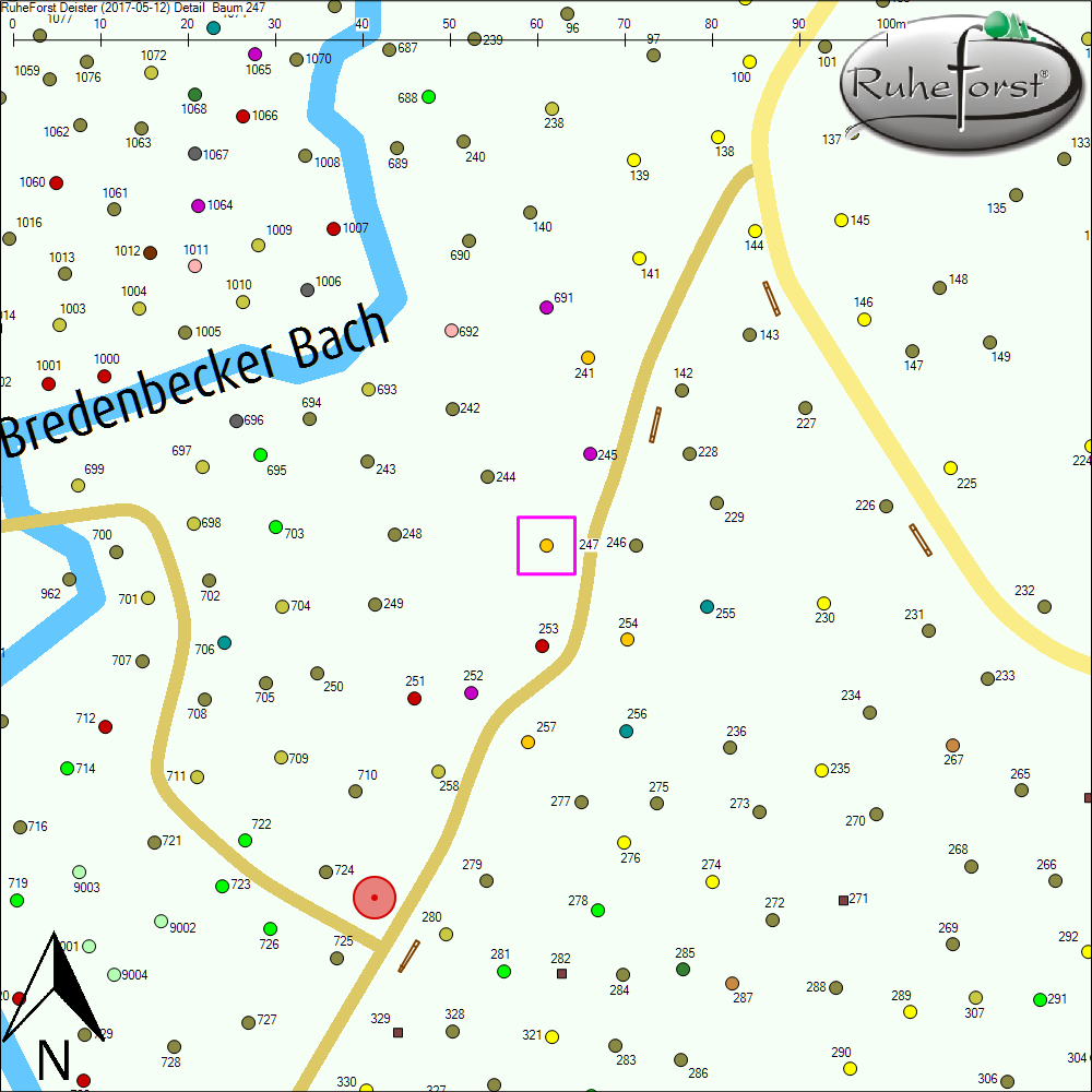 Detailkarte zu Baum 247