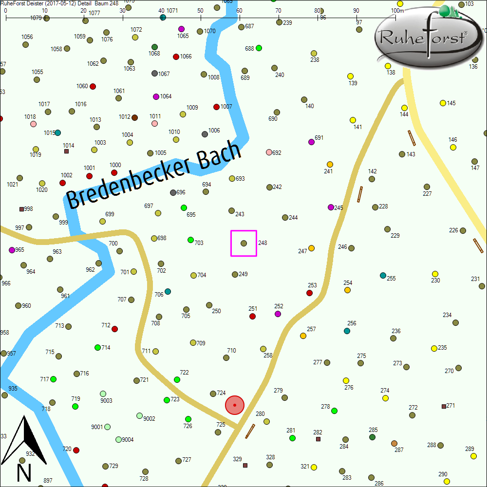 Detailkarte zu Baum 248