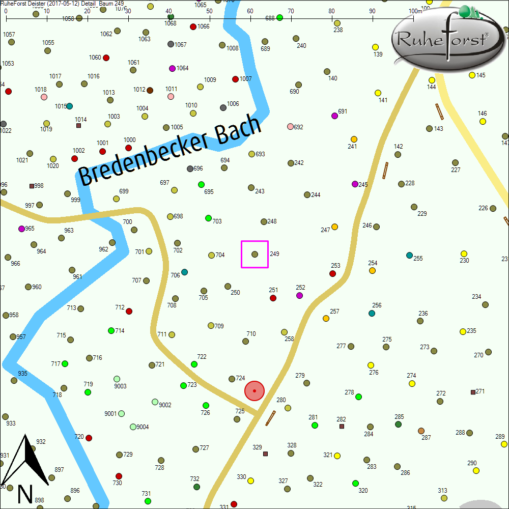 Detailkarte zu Baum 249