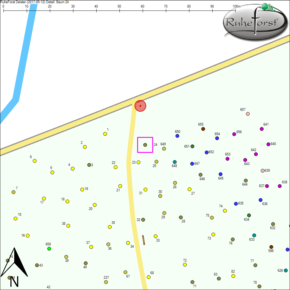 Detailkarte zu Baum 24