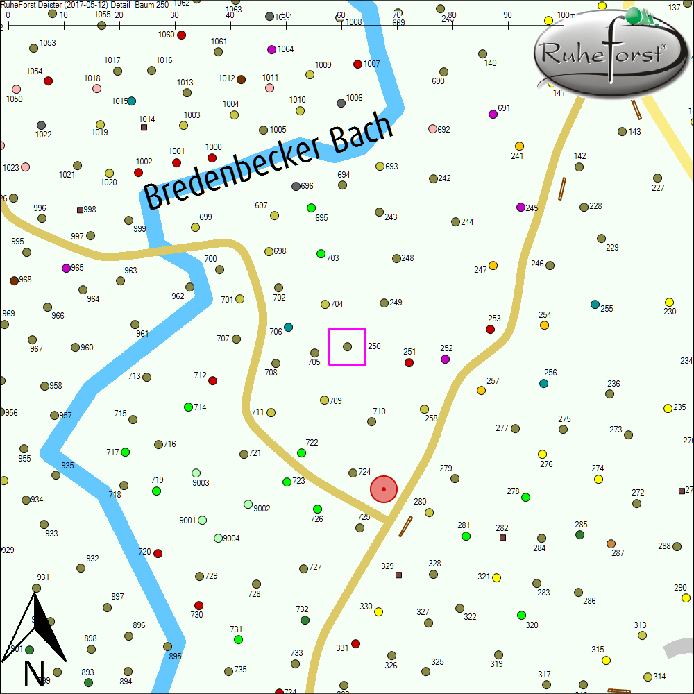 Detailkarte zu Baum 250