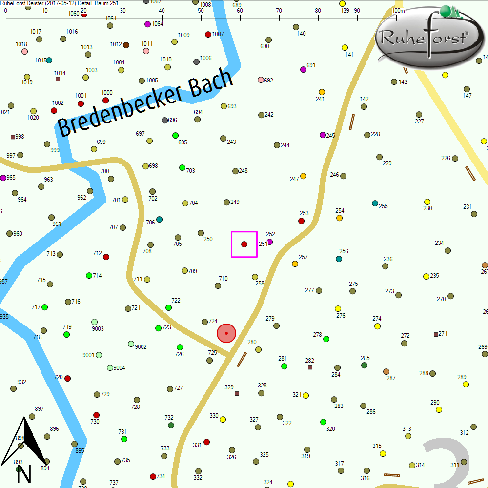 Detailkarte zu Baum 251