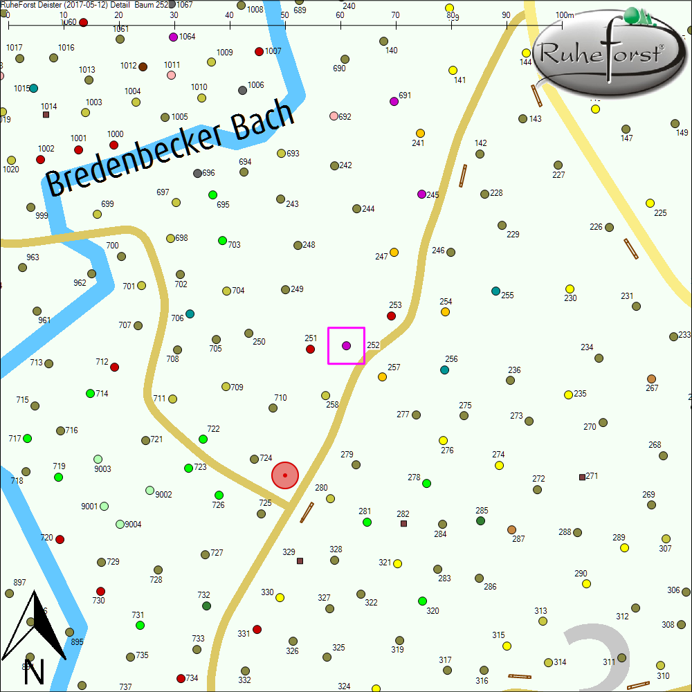 Detailkarte zu Baum 252