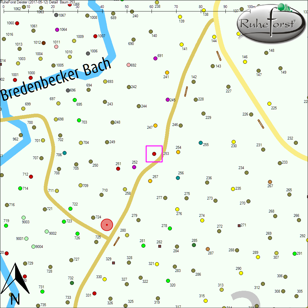 Detailkarte zu Baum 253