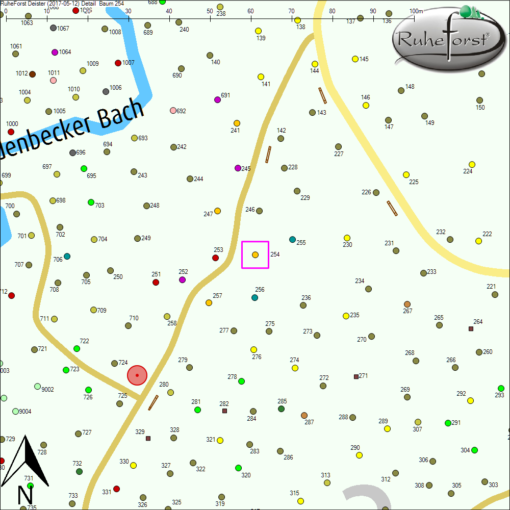 Detailkarte zu Baum 254