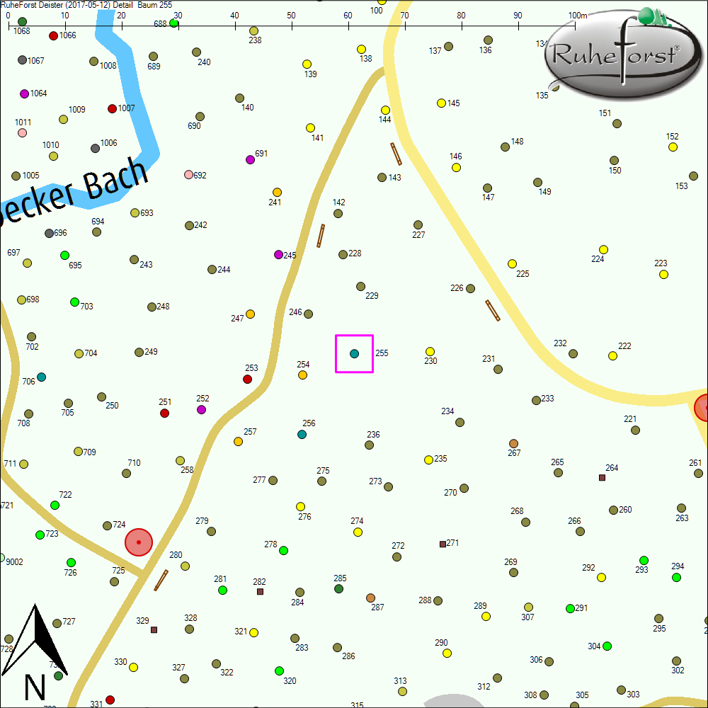 Detailkarte zu Baum 255