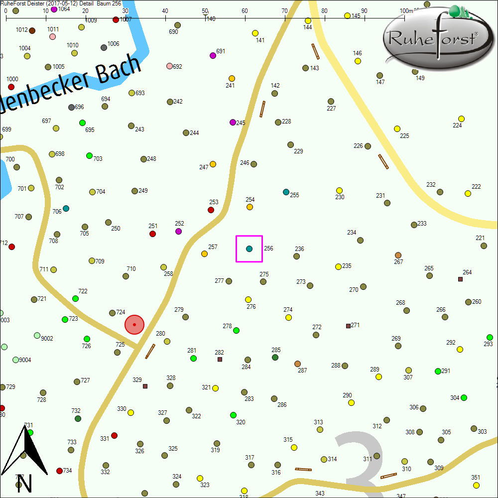 Detailkarte zu Baum 256