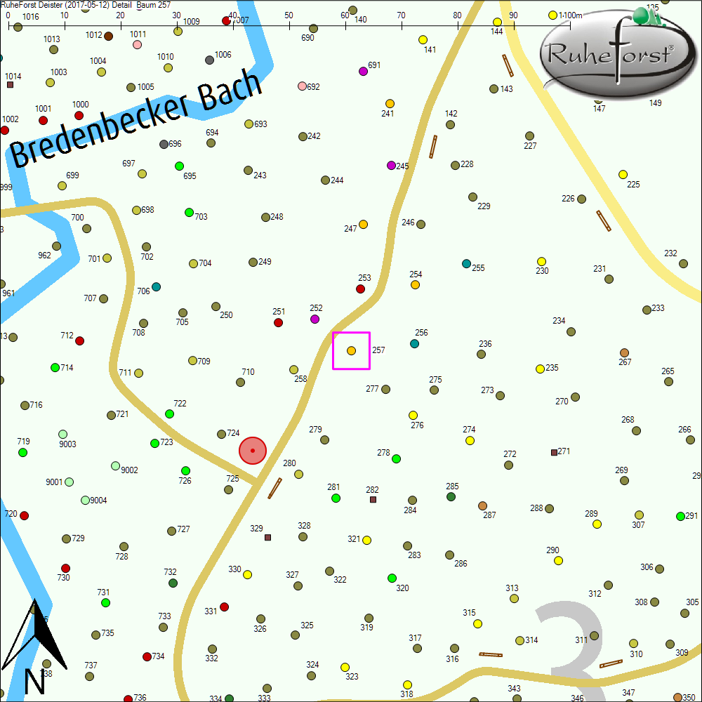 Detailkarte zu Baum 257
