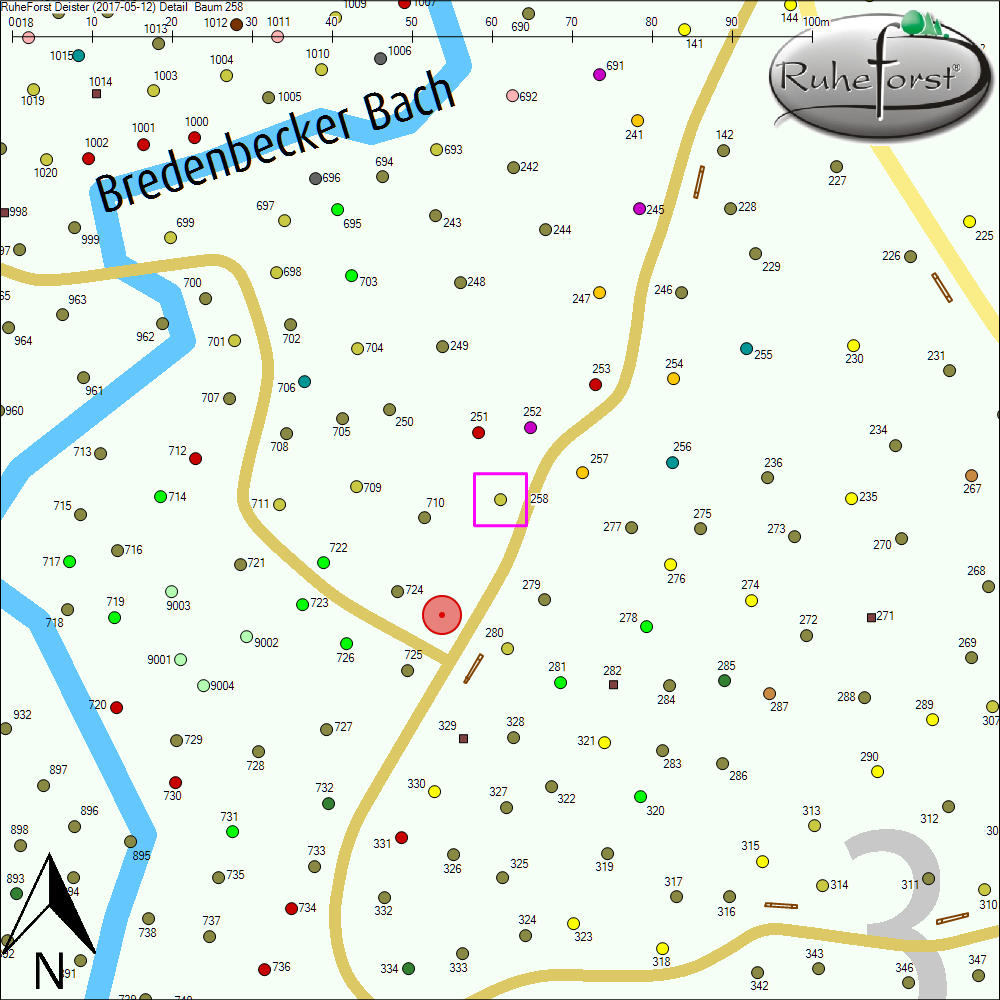 Detailkarte zu Baum 258