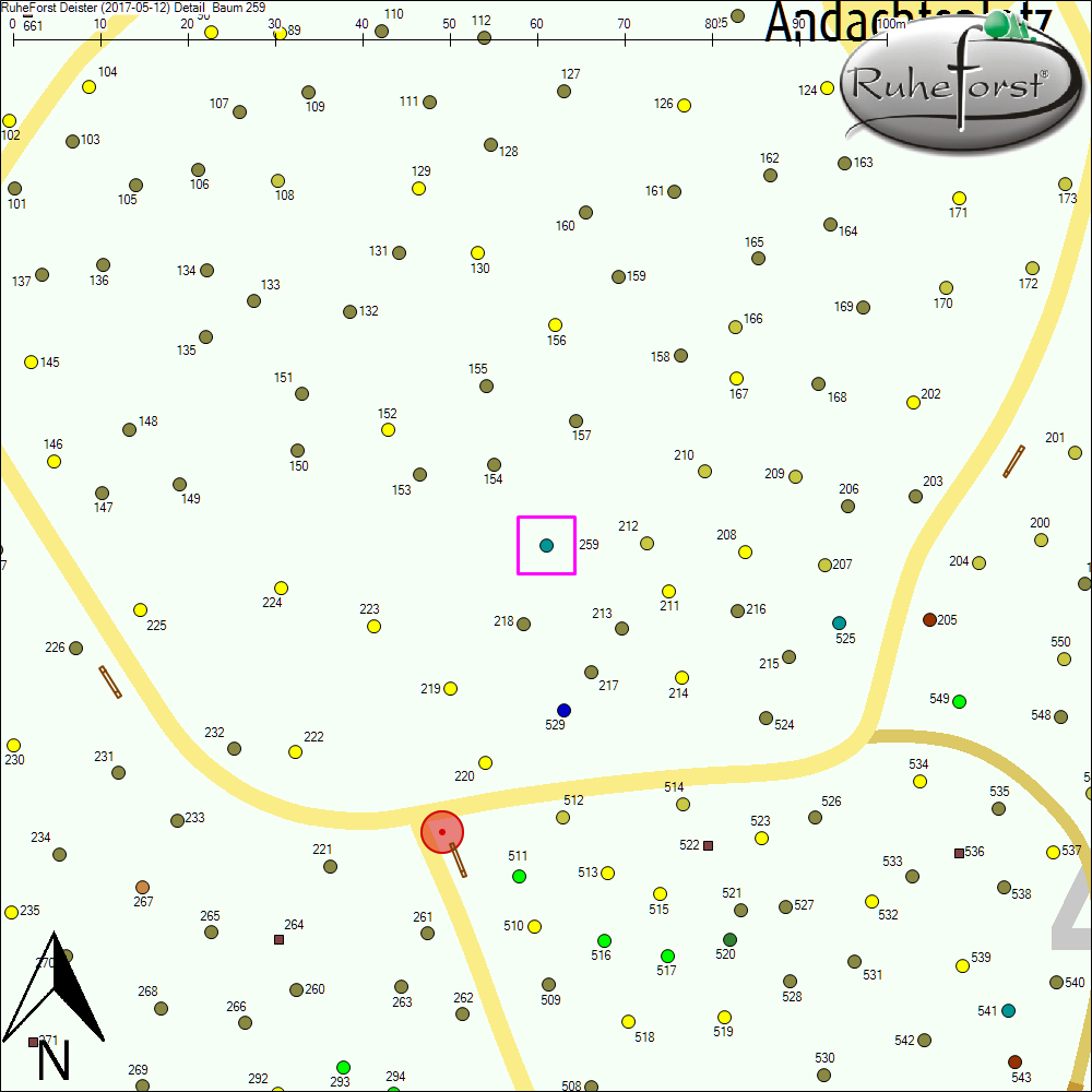 Detailkarte zu Baum 259
