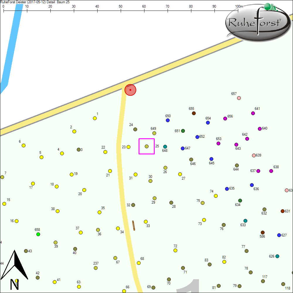 Detailkarte zu Baum 25