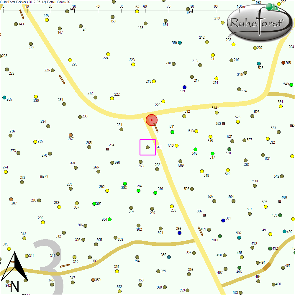 Detailkarte zu Baum 261