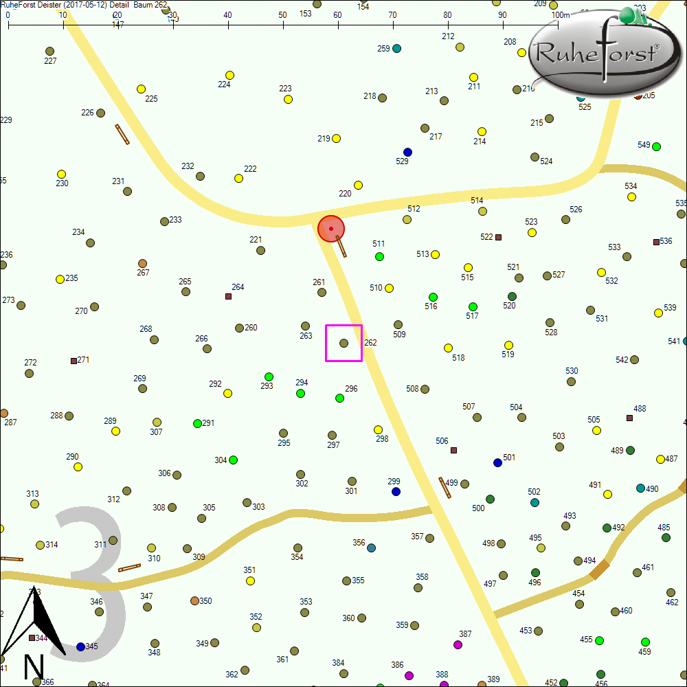 Detailkarte zu Baum 262