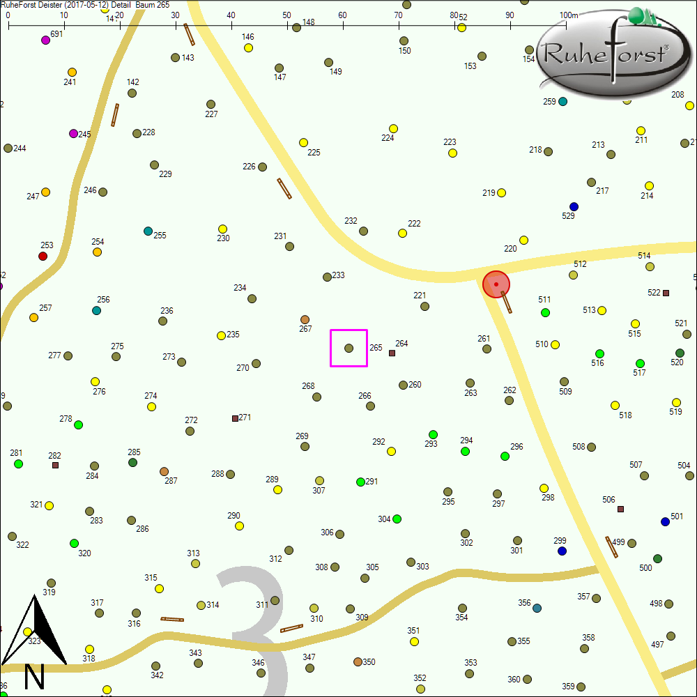 Detailkarte zu Baum 265